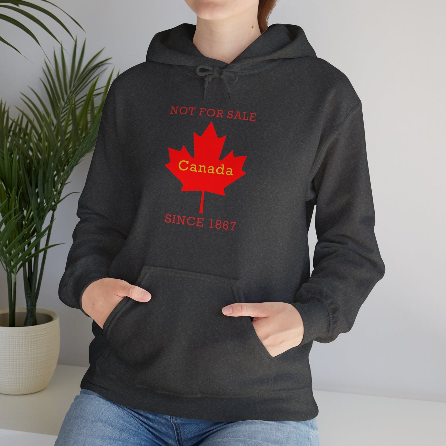 "Canada Is Not For Sell" - Unisex Hoodie